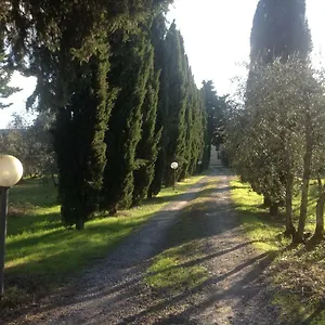 Sunshine Florence